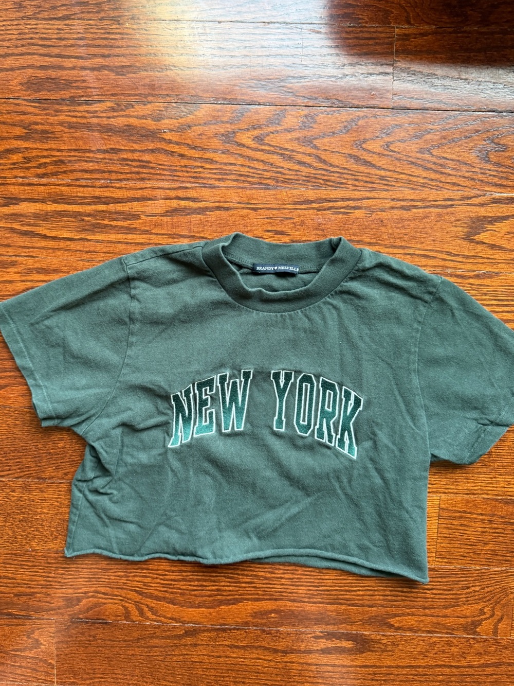 Brandy Melville green New York embroidered cropped t shirt